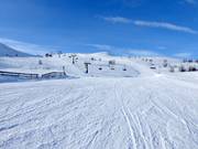 Piste Skrållan n° 10