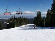 Piste facile Martinovi baraki 1