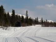Les pistes de ski de fond commencent à l'hôtel Gaustablikk Høyfjellshotell.