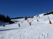 Piste facile Faschingalm