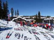 Lieu recommandé pour l'après-ski : Koia