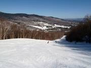 Large piste à travers des couloirs forestiers