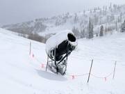 Enneigement à Snowbasin