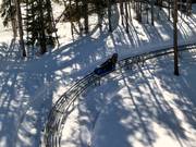 Bon plan pour les enfants : 