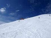 Pistes de poudreuse sur des pentes sans arbres au Mt. Niseko Annupuri