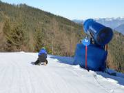 Bon plan pour les enfants : 