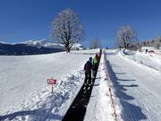 Tapis roulant dans la bodmiARENA