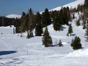 Piste de ski de fond du marais de Schwarzsee