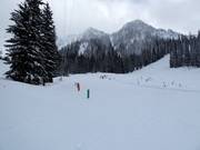 Pente d'entraînement au Hummer Handle Tow