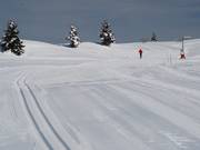 Suffisamment d'espace pour le classique et le skating