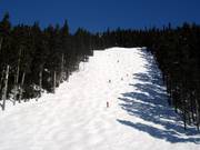 Large piste à bosses