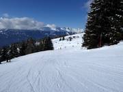 Piste familiale facile