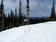 Cinq pistes descendent depuis la Moonlight Run.