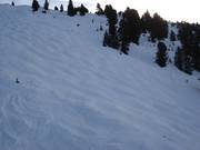 Piste à bosses sur la Rosenalm