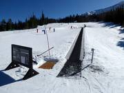 Big Sky Carpet Surface Lift 6 (Pea Shooter) - Tapis roulant