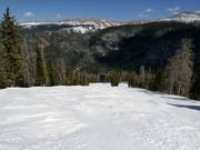 Descente typique en forêt à Winter Park