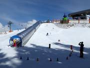 Bon plan pour les enfants : 