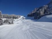 Un rêve pour les carveurs