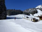 Zone d'entraînement au téléski Gaisbühl à la station de la vallée