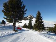 Piste Via del Lupo/Wolfspfad