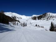 Entre Grosseck et Speiereck