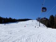 Piste facile 2 au télécabine 10 places Kreischberg