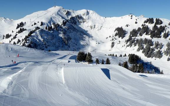 Snowparks Vaud – Snowpark Villars/Gryon/Les Diablerets