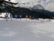 Ici, les enfants peuvent apprendre les panneaux d'information.