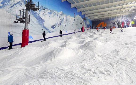Domaines skiables pour skieurs confirmés et freeriders Angleterre de l'Est – Skieurs confirmés, freeriders The Snow Centre – Hemel Hempstead