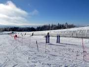 Slalom pour enfants au tapis roulant