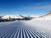Très bonne préparation des pistes