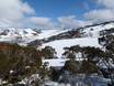 Australie: Taille des domaines skiables – Taille Falls Creek