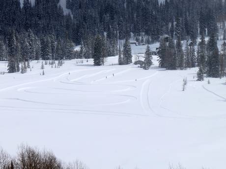 Ski nordique Ouest américain – Ski nordique Solitude