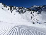 Très bonne préparation des pistes à Snowbird
