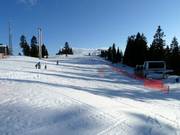 La piste facile au télésiège Greenway