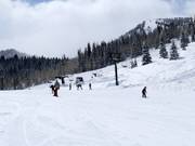 Piste facile au télésiège Link