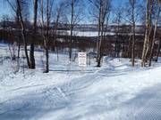 Descente à travers la forêt pour les enfants