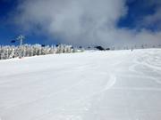 Piste préparée Zeigerabfahrt