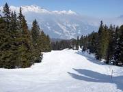 Descente Waldabfahrt Tschuggen