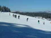 Pistes faciles au téléski Kirchenlift