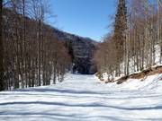 Descente en vallée Žagarjev graben n° 14