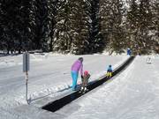 Tapis roulant Thaneller