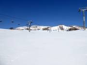 Piste facile Kogen (Grand Hirafu)