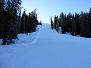 Piste difficile Roßkopfabfahrt