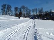 Pistes de ski de fond à Ramsau am Dachstein