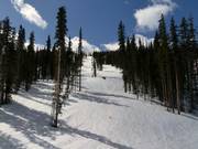 Descente typique en forêt à Winter Park