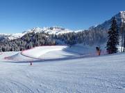 Grand bassin de stockage à Pinzolo