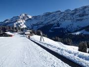 Tapis Mazots - Tapis roulant/Moving Carpet