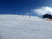 Piste facile et large au téléski Wallerlift Monte Gogo