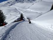 Piste de luge dans le domaine skiable First